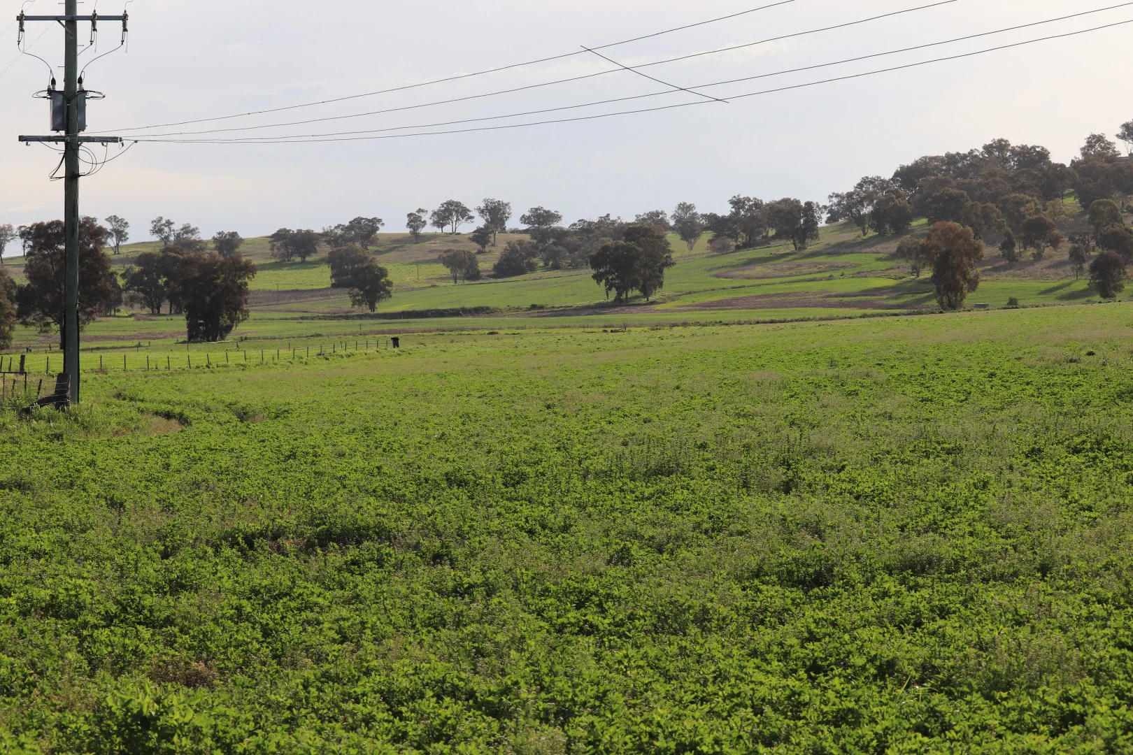 Additional image 28 of 2350 George Russell Drive, Canowindra NSW 2804