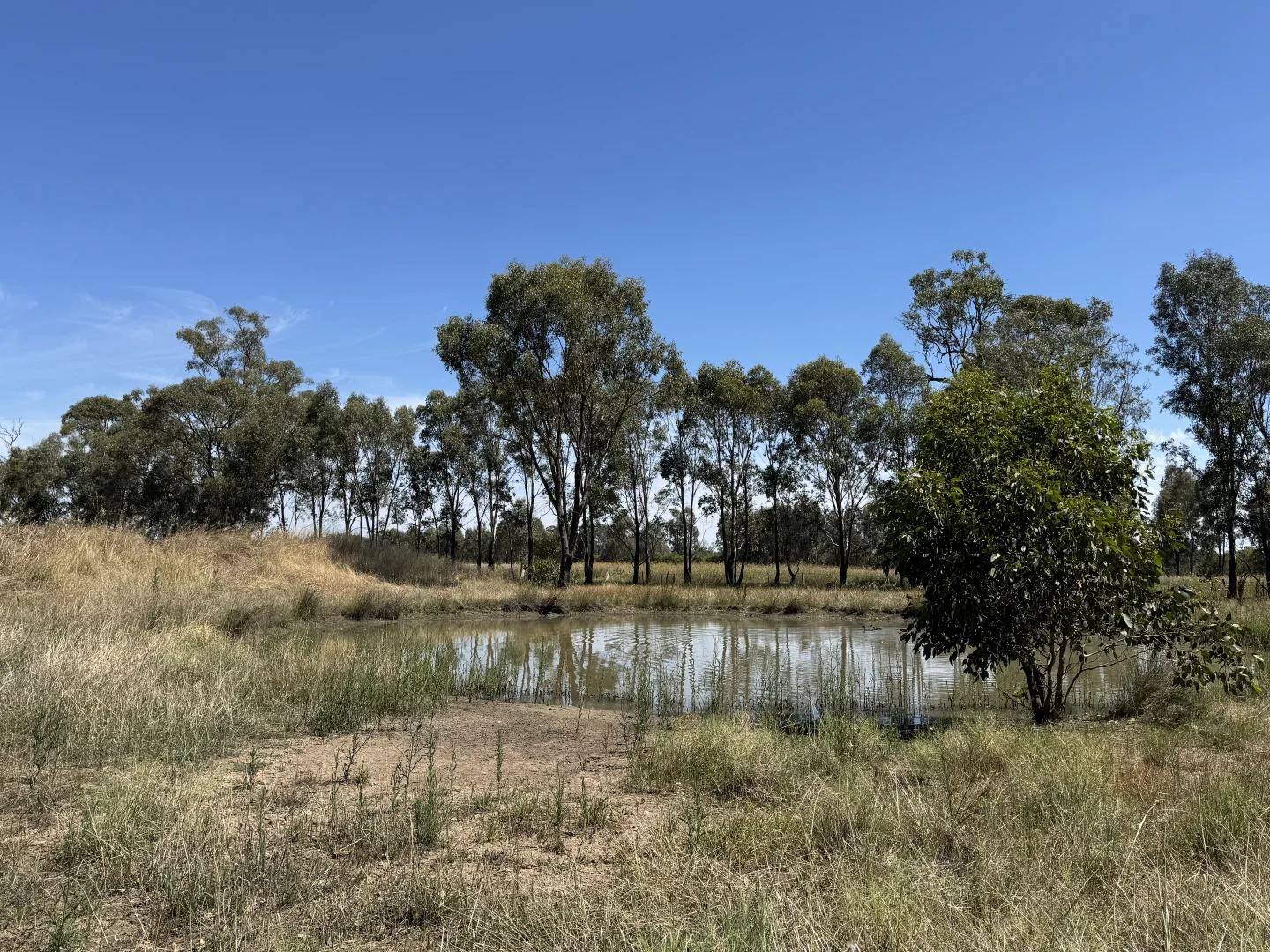 Additional image 22 of 740 Boland Road, Boorhaman VIC 3678