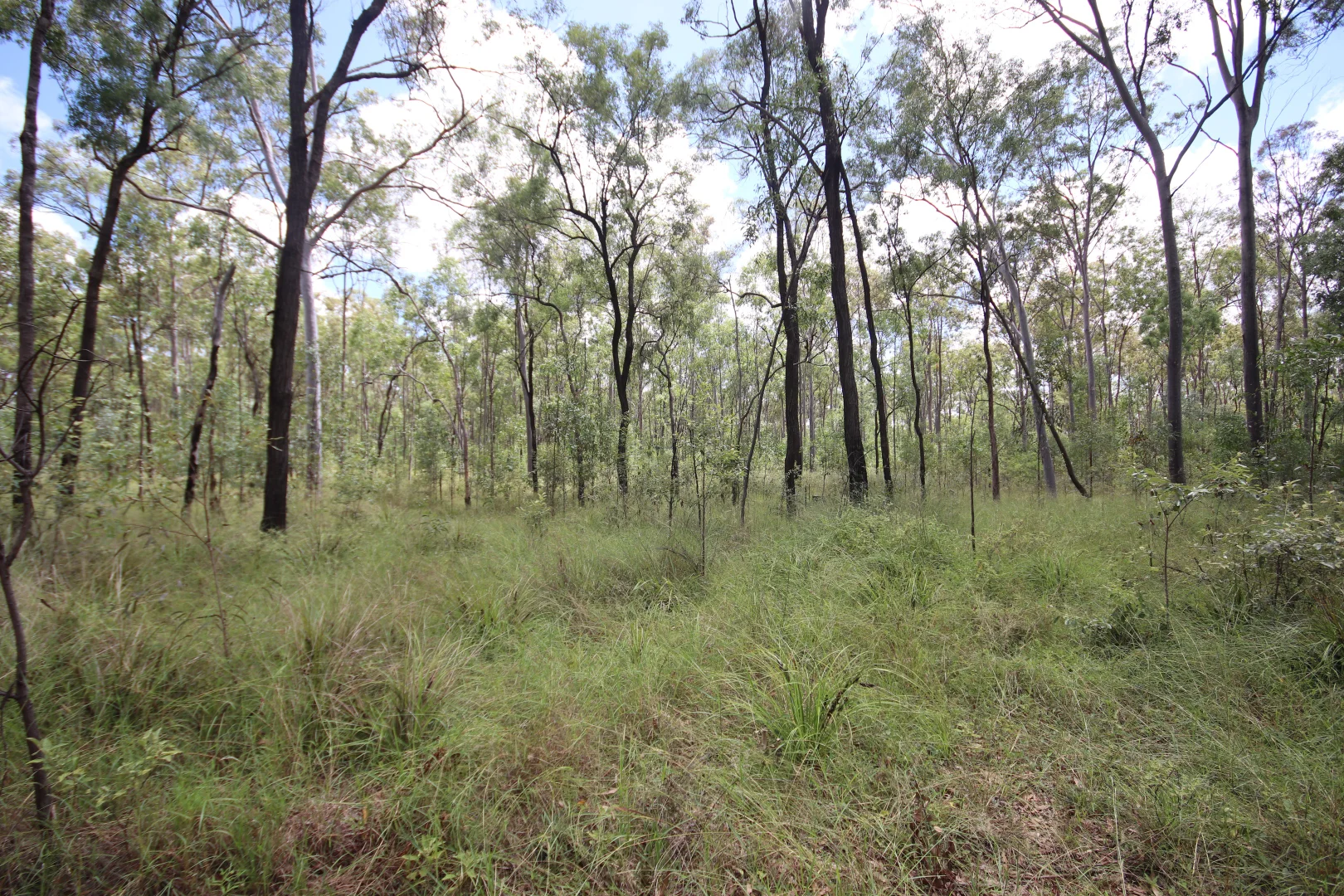 Additional image 9 of 'Greentree' Mundubbera-Durong Rd, Mundubbera QLD 4626