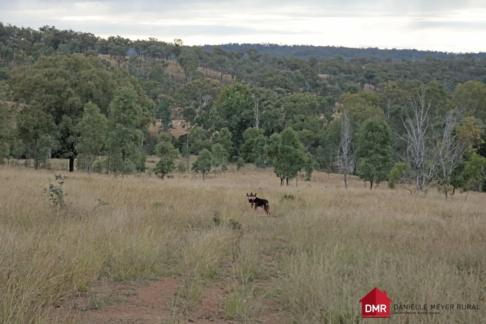 Additional image 31 of Lot 33-35 Bilboolan Road, Eidsvold QLD 4627