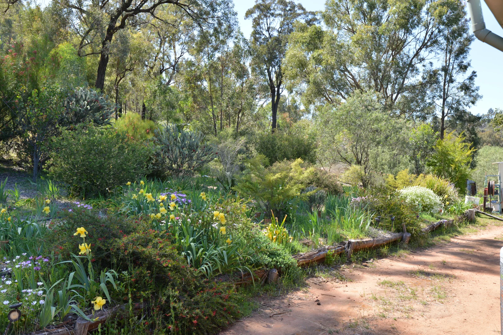 Additional image 17 of 20 Kurrajong Road, Coonabarabran NSW 2357