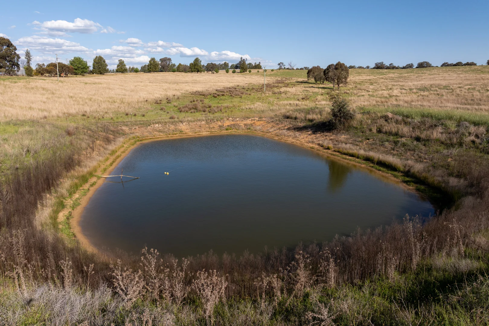 Additional image 38 of 251 Pattersons Lane, Young NSW 2594