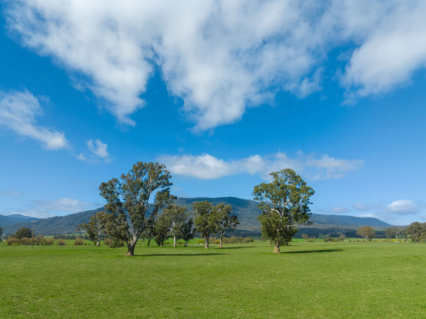 Additional image 21 of 1036 Taggerty - Thornton Road, Thornton VIC 3712