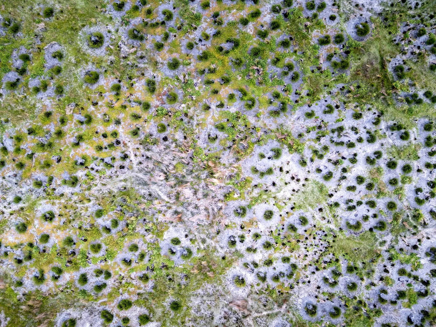 Additional image 8 of PID 3118936 Palana Road, Whitemark TAS 7255