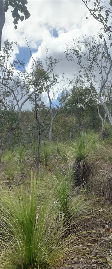 Additional image 16 of LOT 36 Whitsunday Dr, Bloomsbury QLD 4799