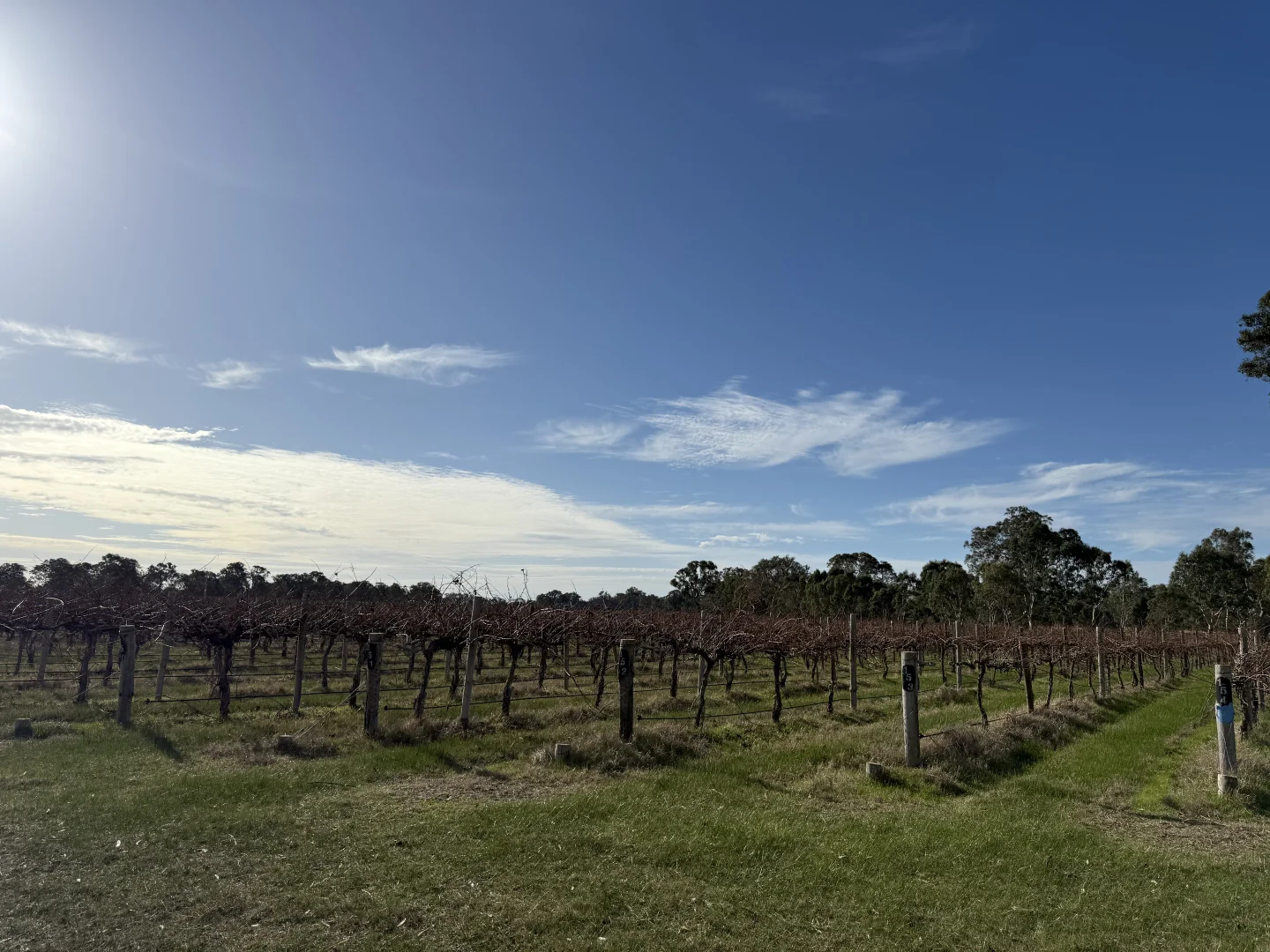Additional image 8 of Lot 100 Dergholm Road, Penola SA 5277