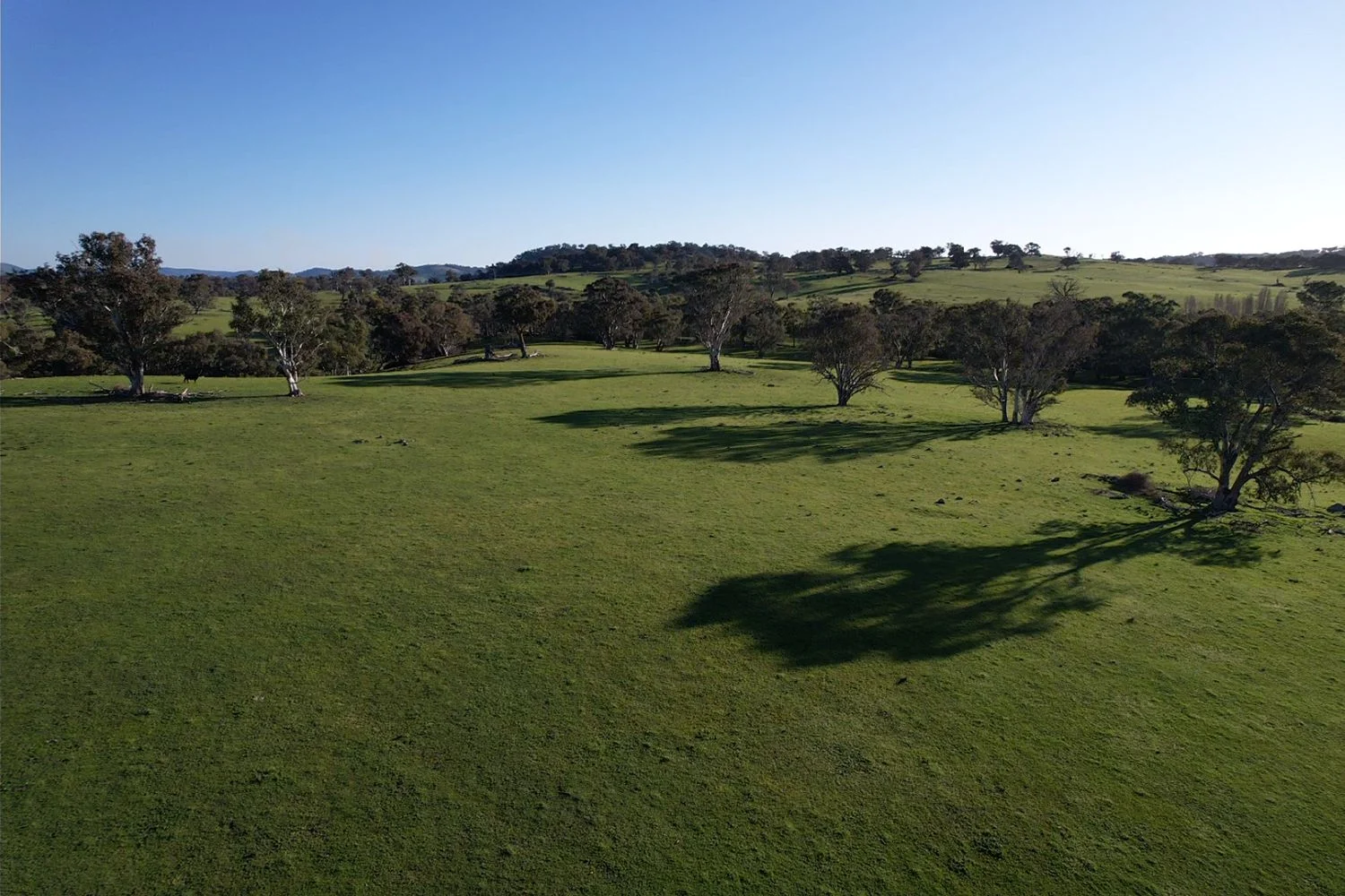 Additional image 16 of 0 Illalong Road, Bookham NSW 2582