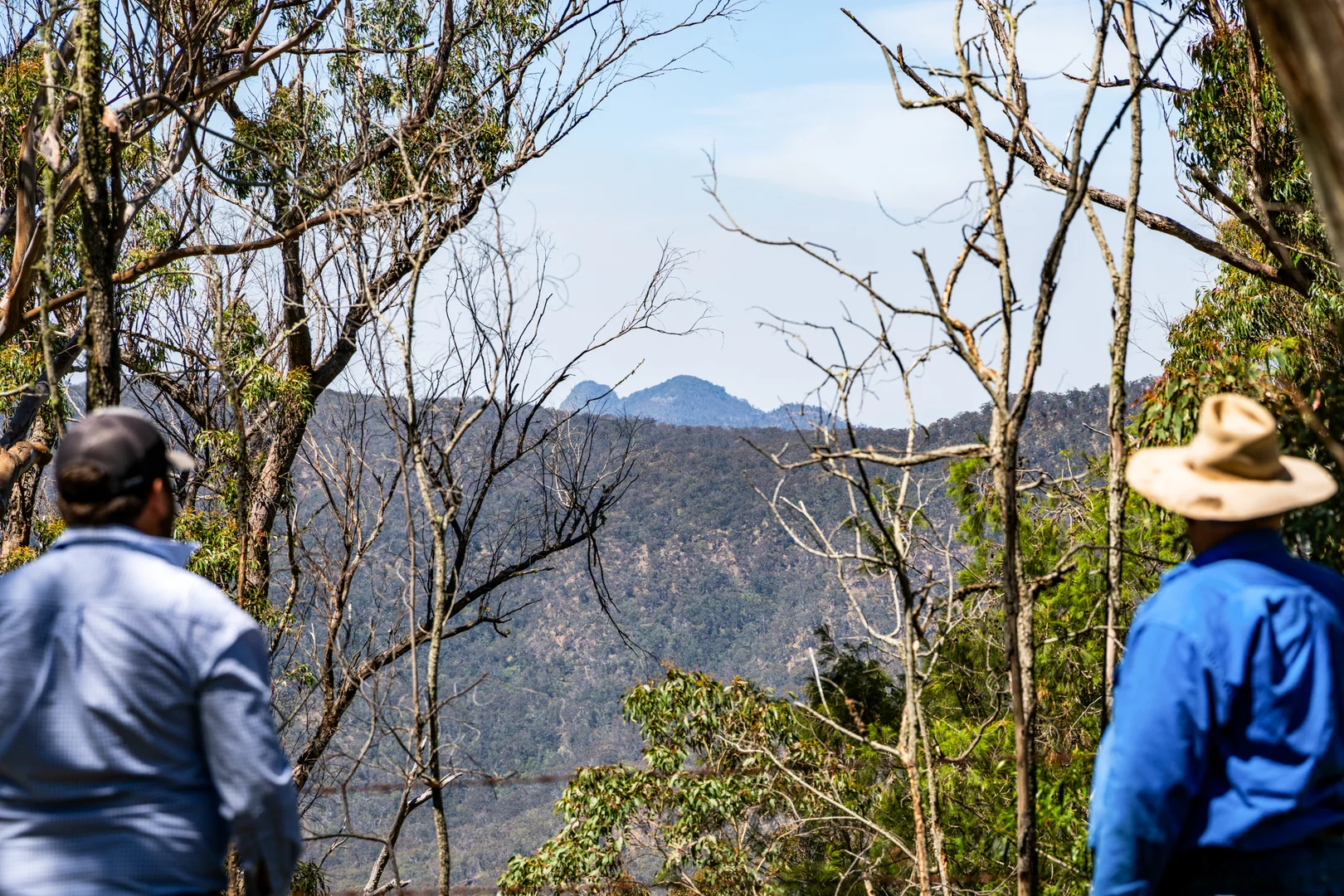 Additional image 4 of 'Yabragunyah' Pilton Valley Road, Upper Pilton QLD 4361