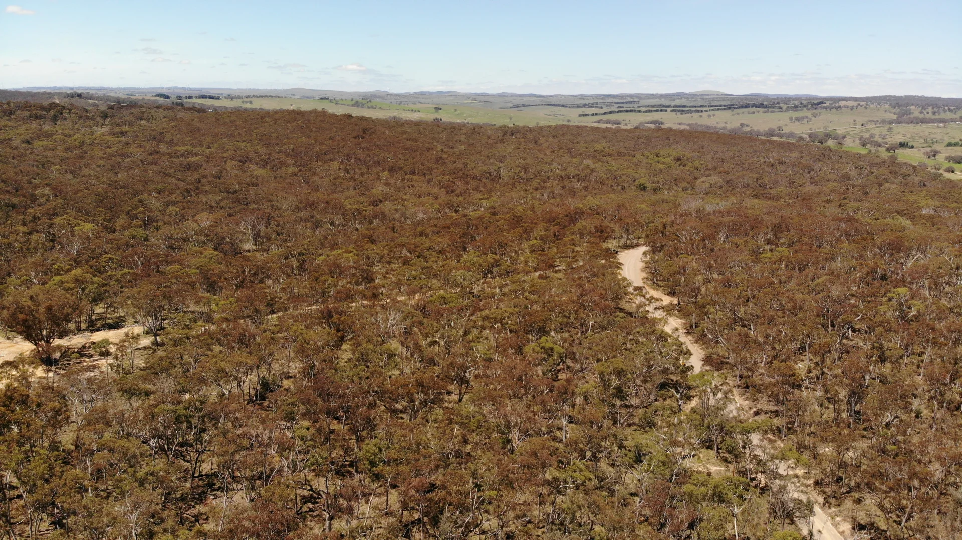 Additional image 5 of 1950 Pomeroy Road, Bannister NSW 2580