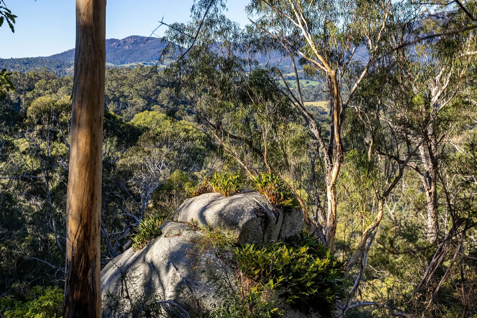 Additional image 18 of 142 Eagles Nest Road, Brogo NSW 2550