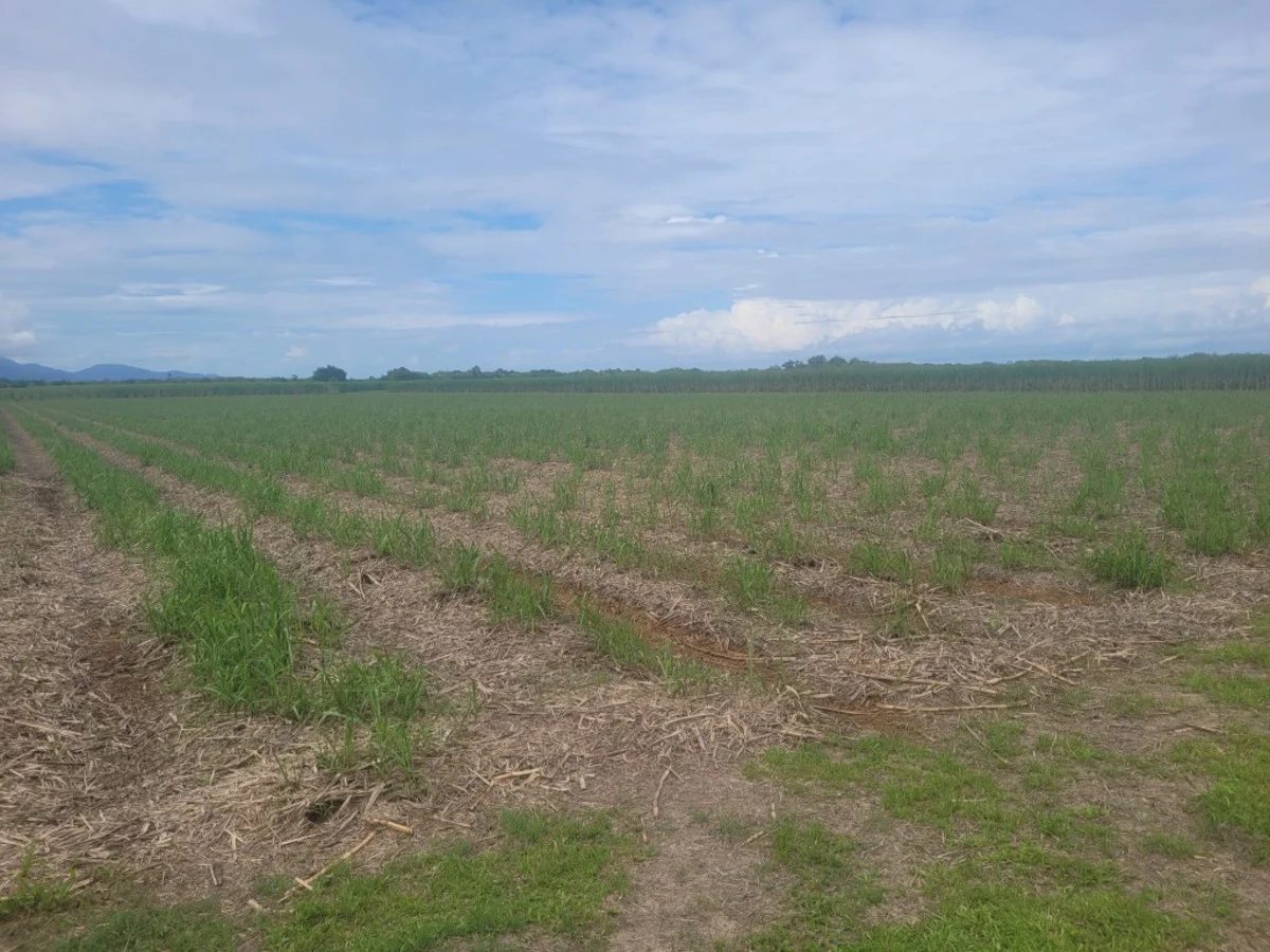 23 Taylors Beach Road, Halifax QLD 4850