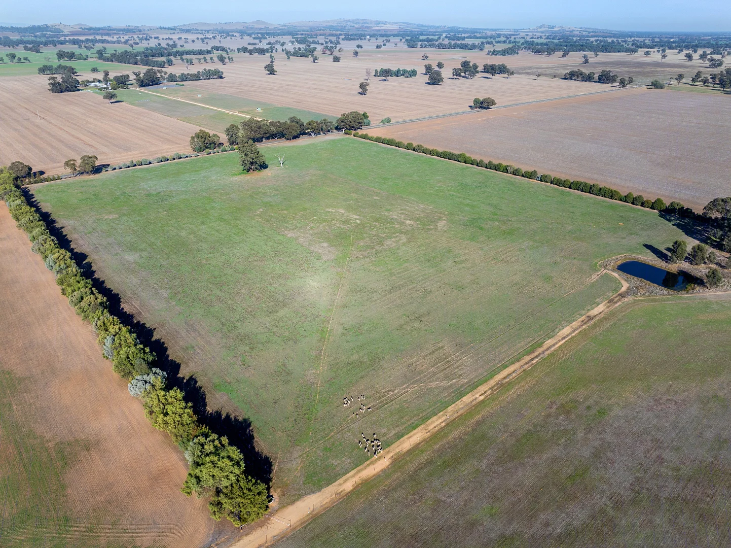 Additional image 8 of 140 Waggarandall Road, Yundool VIC 3727