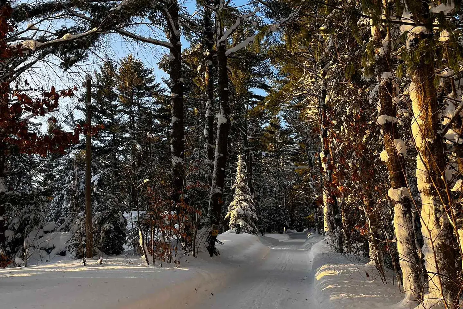 Additional image 7 of 1019 Forrester Trail