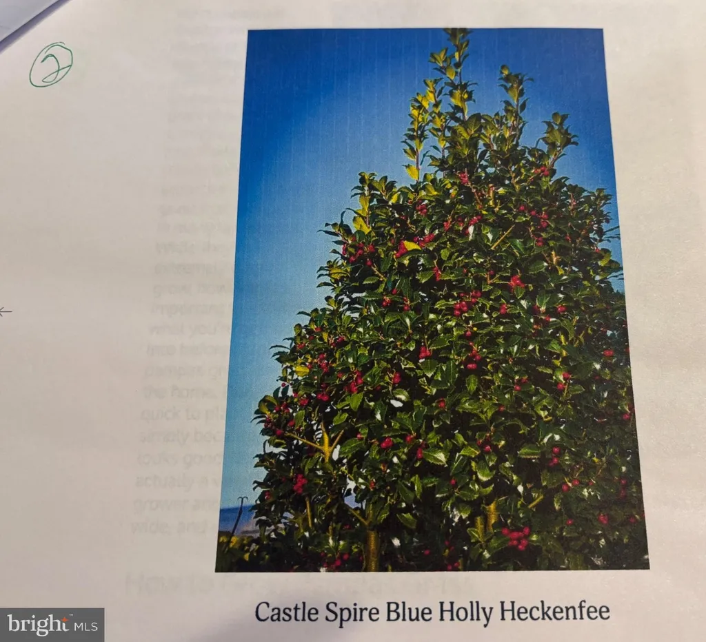 Additional image 56 of 6 Bradley Circle, Middletown, DE 19709