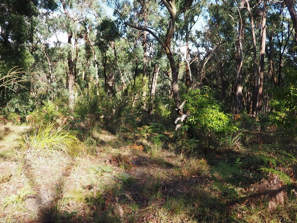 Additional image 4 of Lot 3 Brewsters Road, Yinnar South VIC 3869