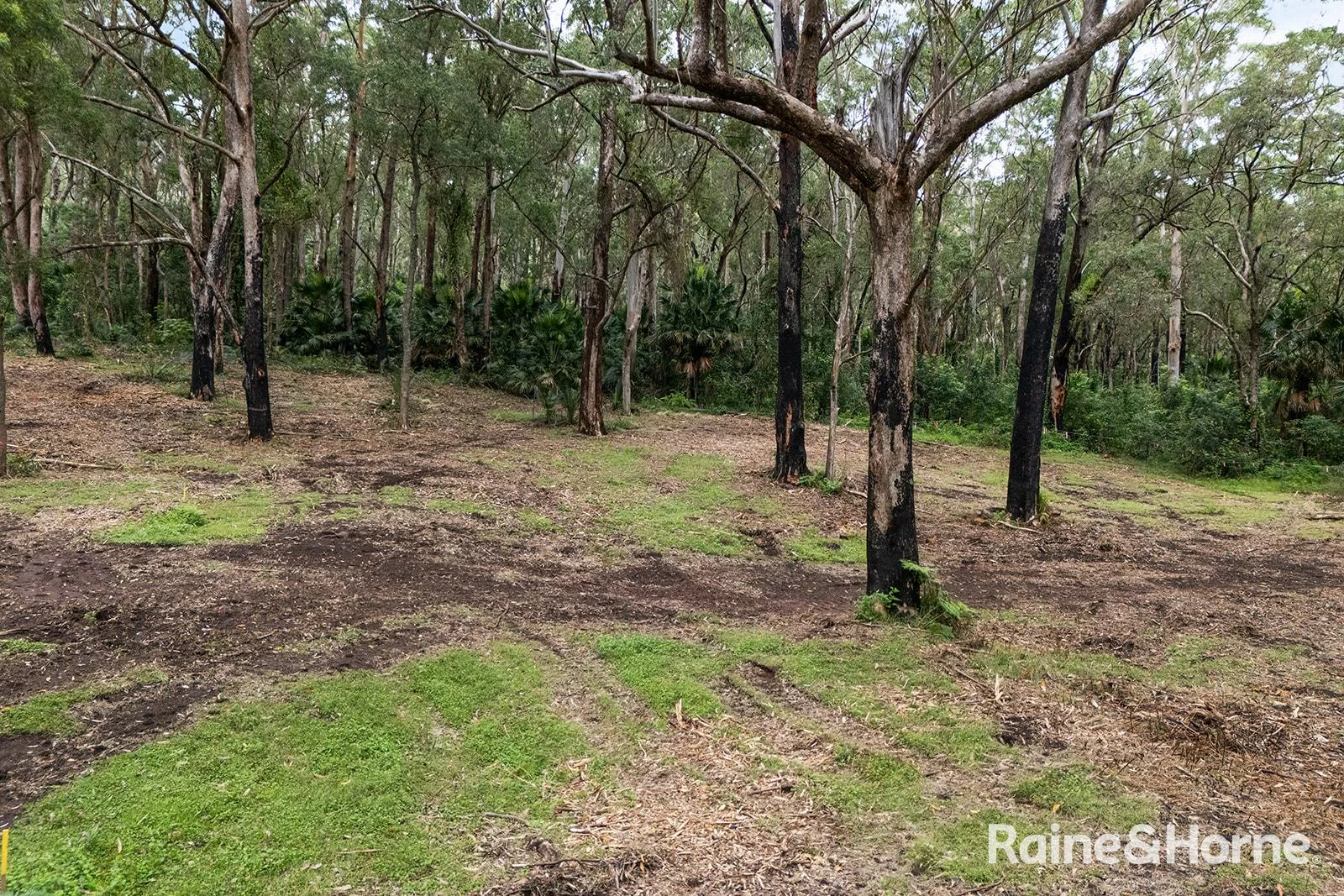 Additional image 16 of Lot 1 Selbys Road, Budgong NSW 2577
