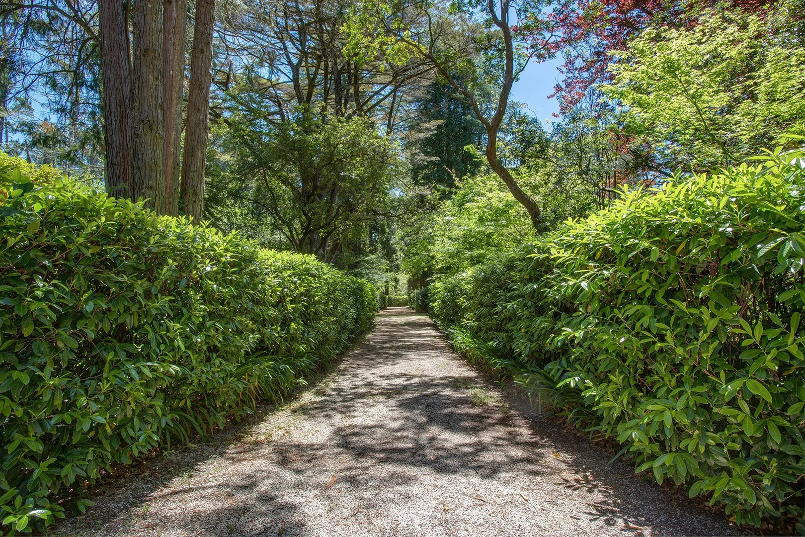 Additional image 18 of 43-69 Balmoral Road, Leura NSW 2780