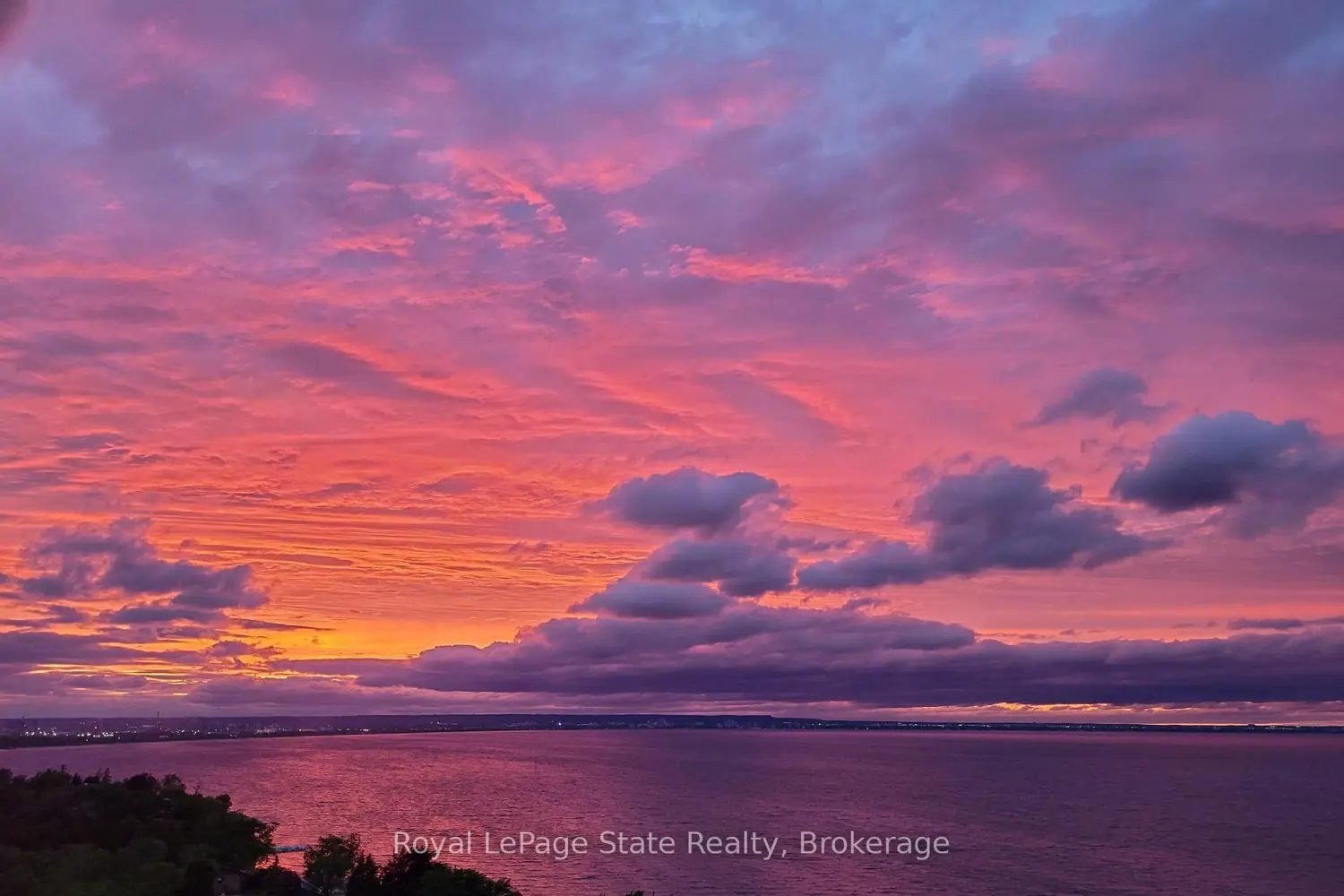 Additional image 14 of 301 Frances Avenue 704