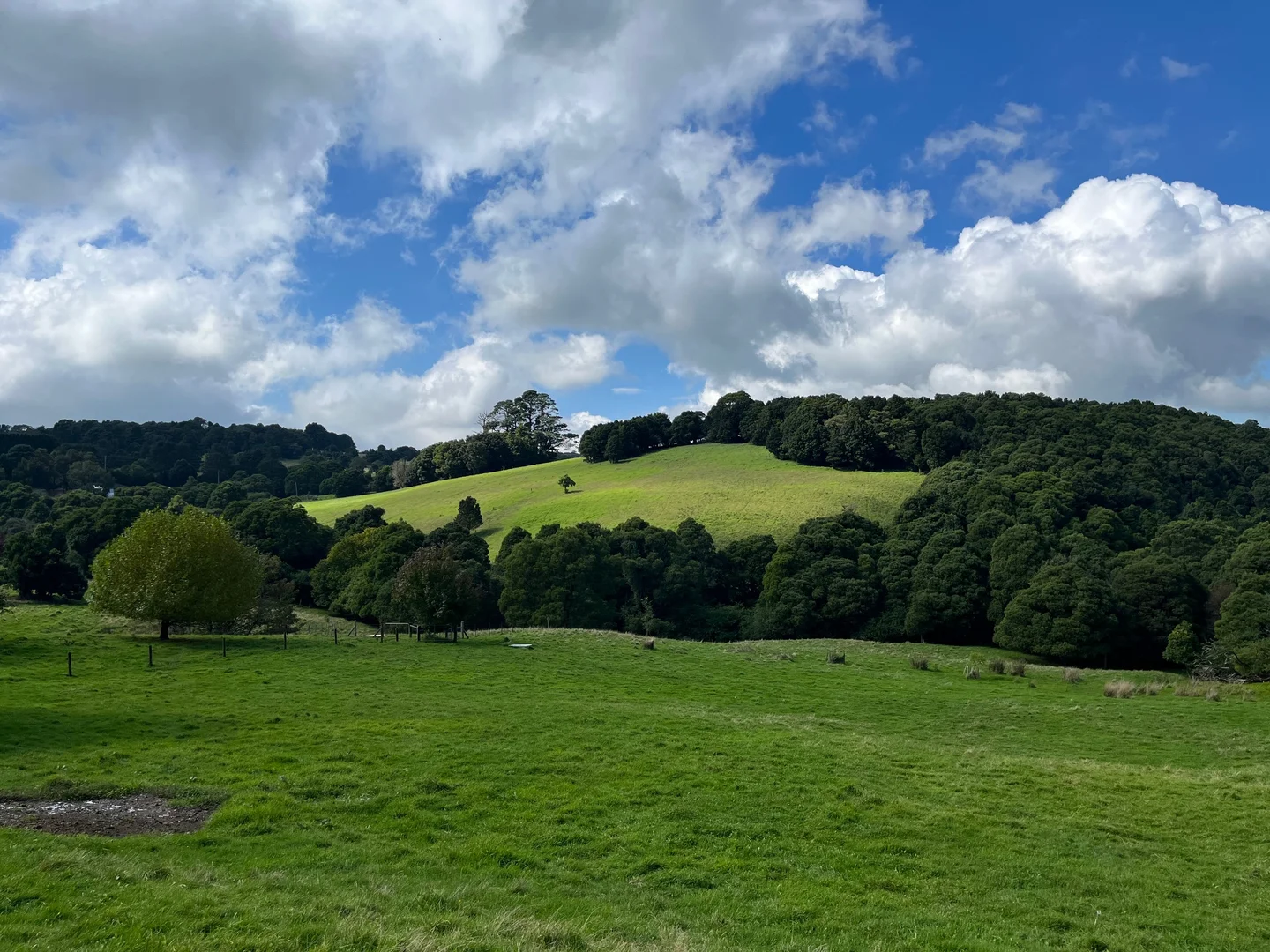 Additional image 5 of 2, 23 Missingham Parade, Robertson NSW 2577