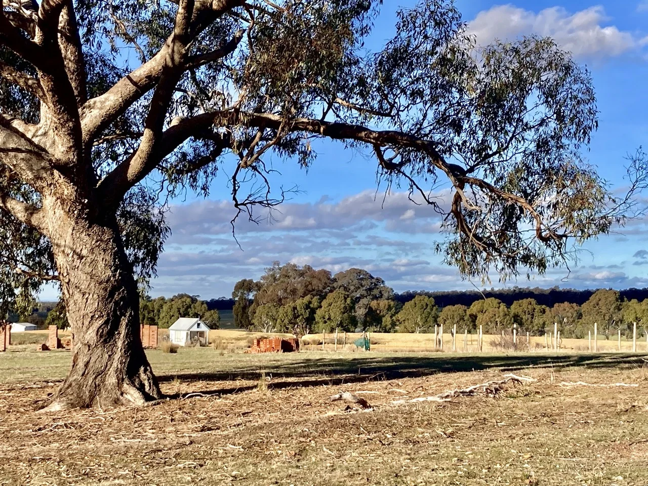 Additional image 26 of 355 Lillicur Road, Amherst VIC 3371