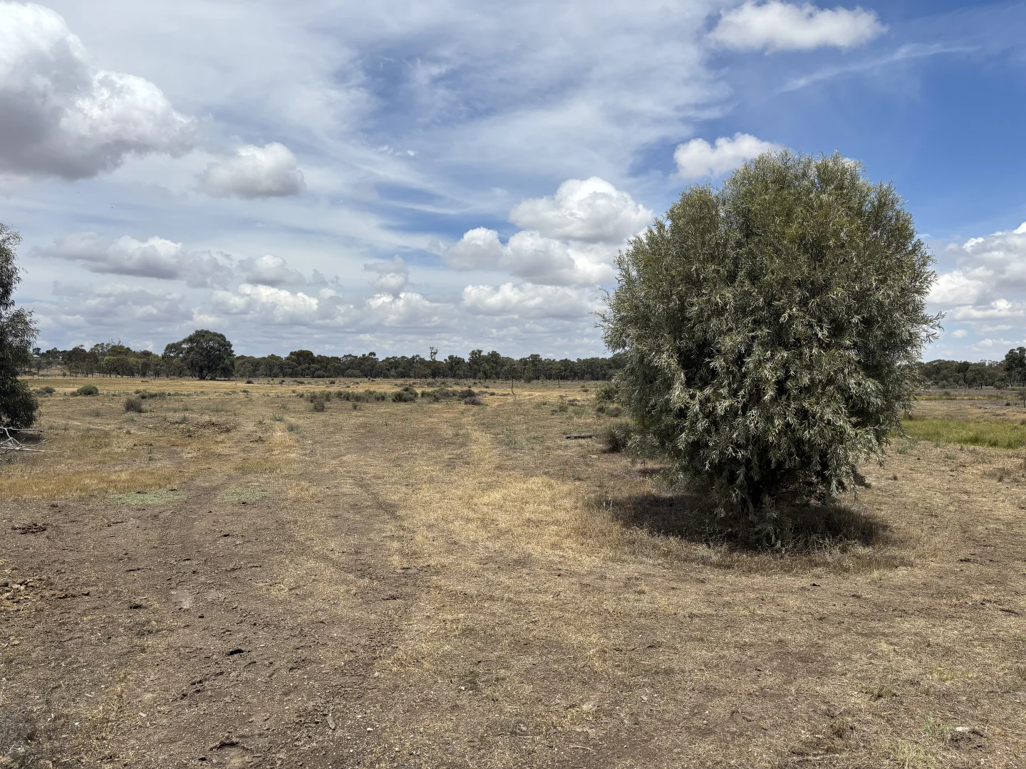 Additional image 8 of SOUTH STREET, Donald VIC 3480