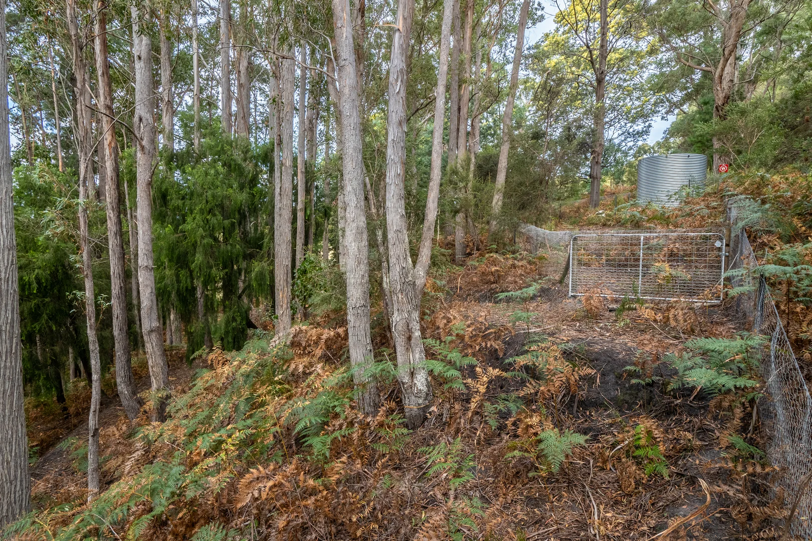 Additional image 12 of Channel Highway, Flowerpot TAS 7163