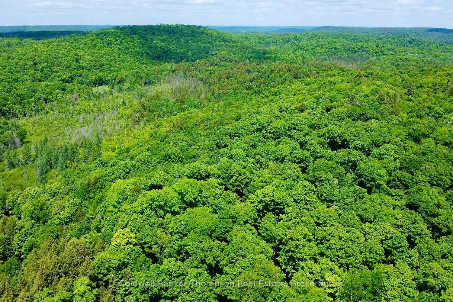 Additional image 17 of 265 Sharon Drive