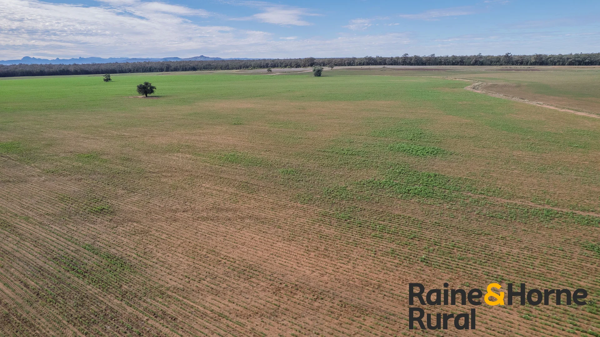 Additional image 21 of 1186 Newell Highway, Gilgandra NSW 2827