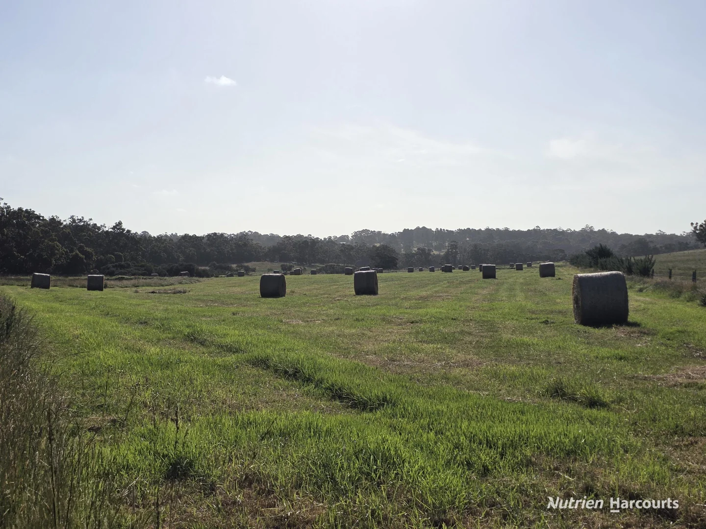 Additional image 29 of 1459 Millbrook Road, King River WA 6330