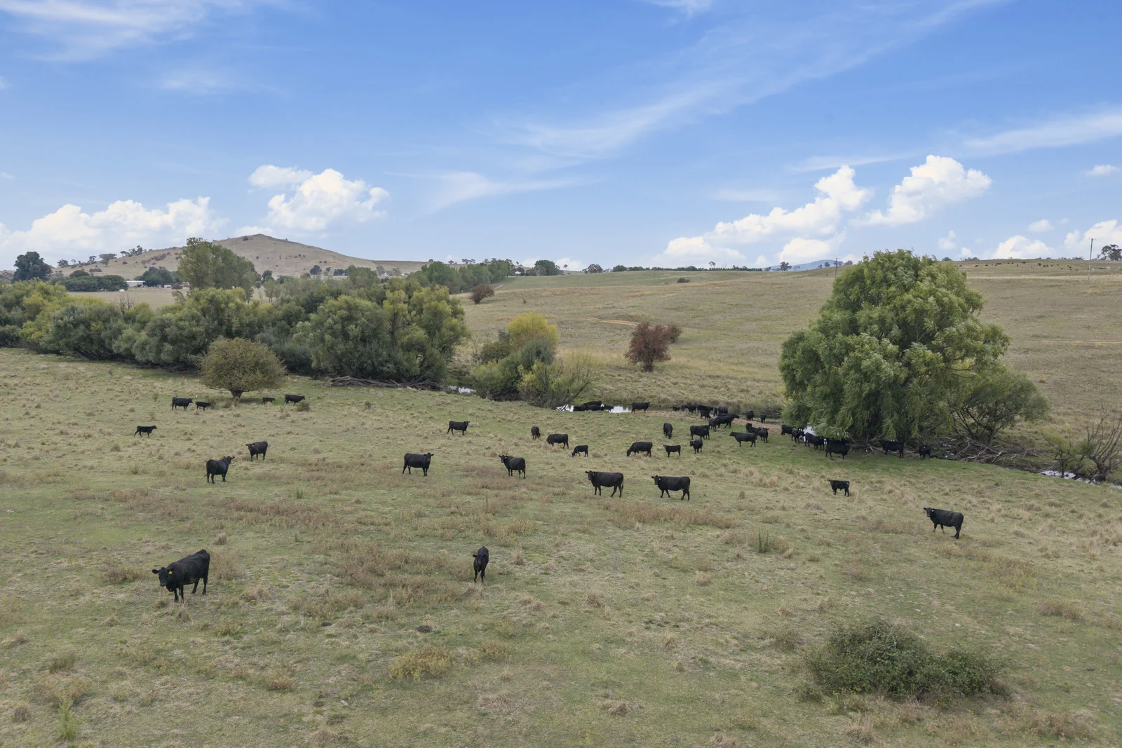 Additional image 5 of Lot 15 & 16 Barton Highway, Murrumbateman NSW 2582