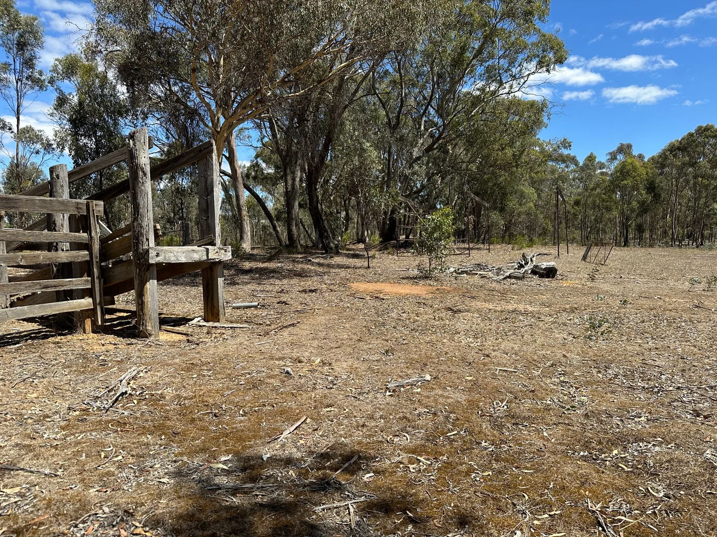 Additional image 8 of 206 Williams Road, Carisbrook VIC 3464