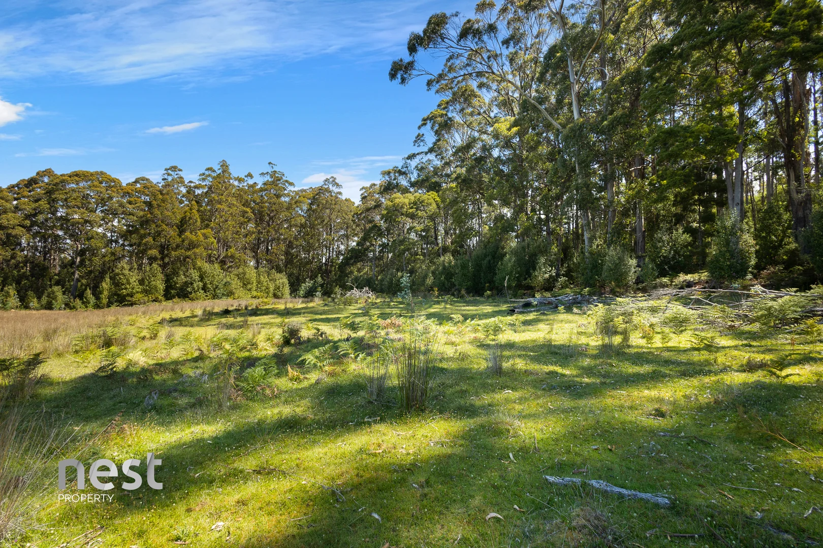 Additional image 10 of 4736 Arthur Highway, Murdunna TAS 7178