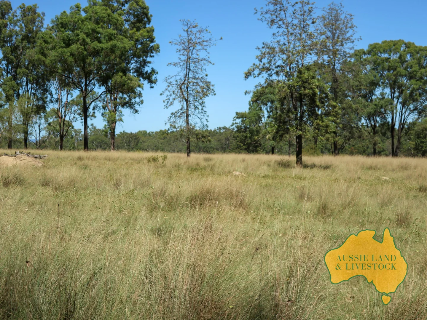 Additional image 25 of 629 Stuart Valley Drive, Haly Creek QLD 4610