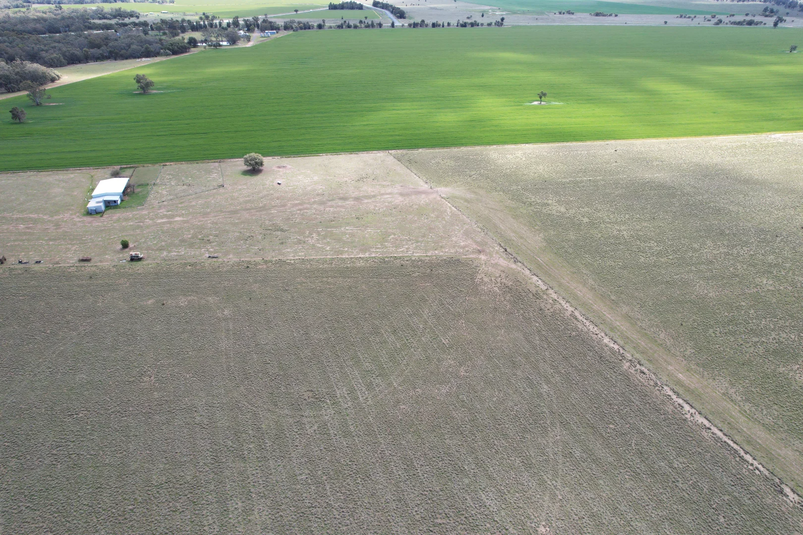 Additional image 6 of 6689 Mid Western Highway, Caragabal NSW 2810