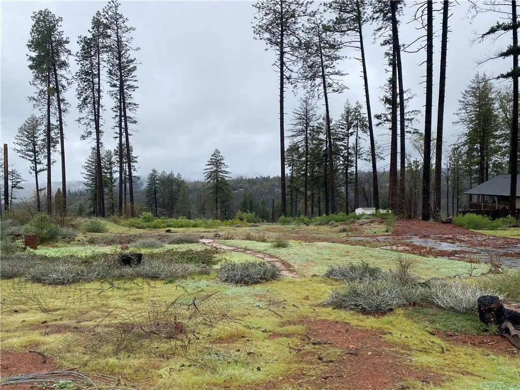 Additional image 42 of 8941 Skyway, Paradise, CA 95969