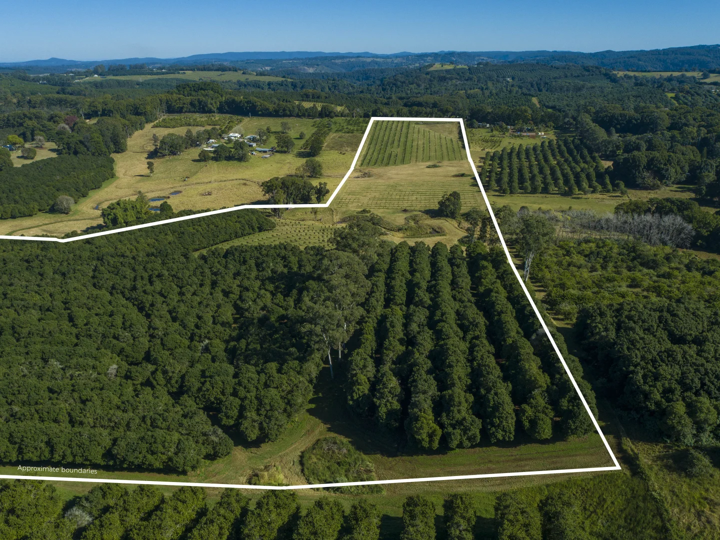 Additional image 8 of 1808 Dunoon Road, Dunoon NSW 2480