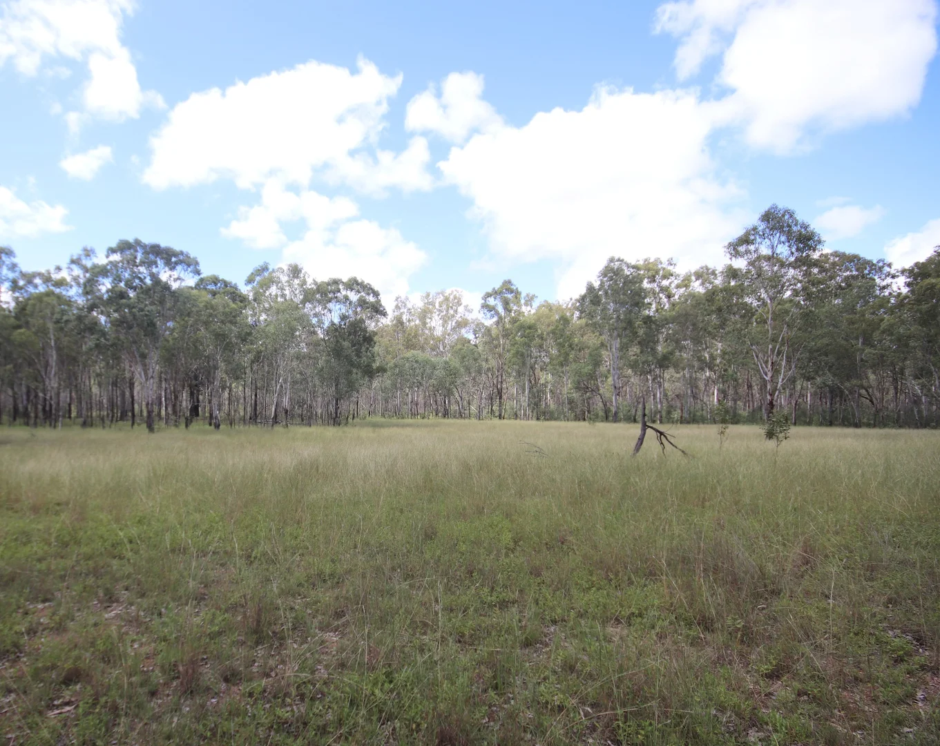 Additional image 6 of 'Greentree' Mundubbera-Durong Rd, Mundubbera QLD 4626