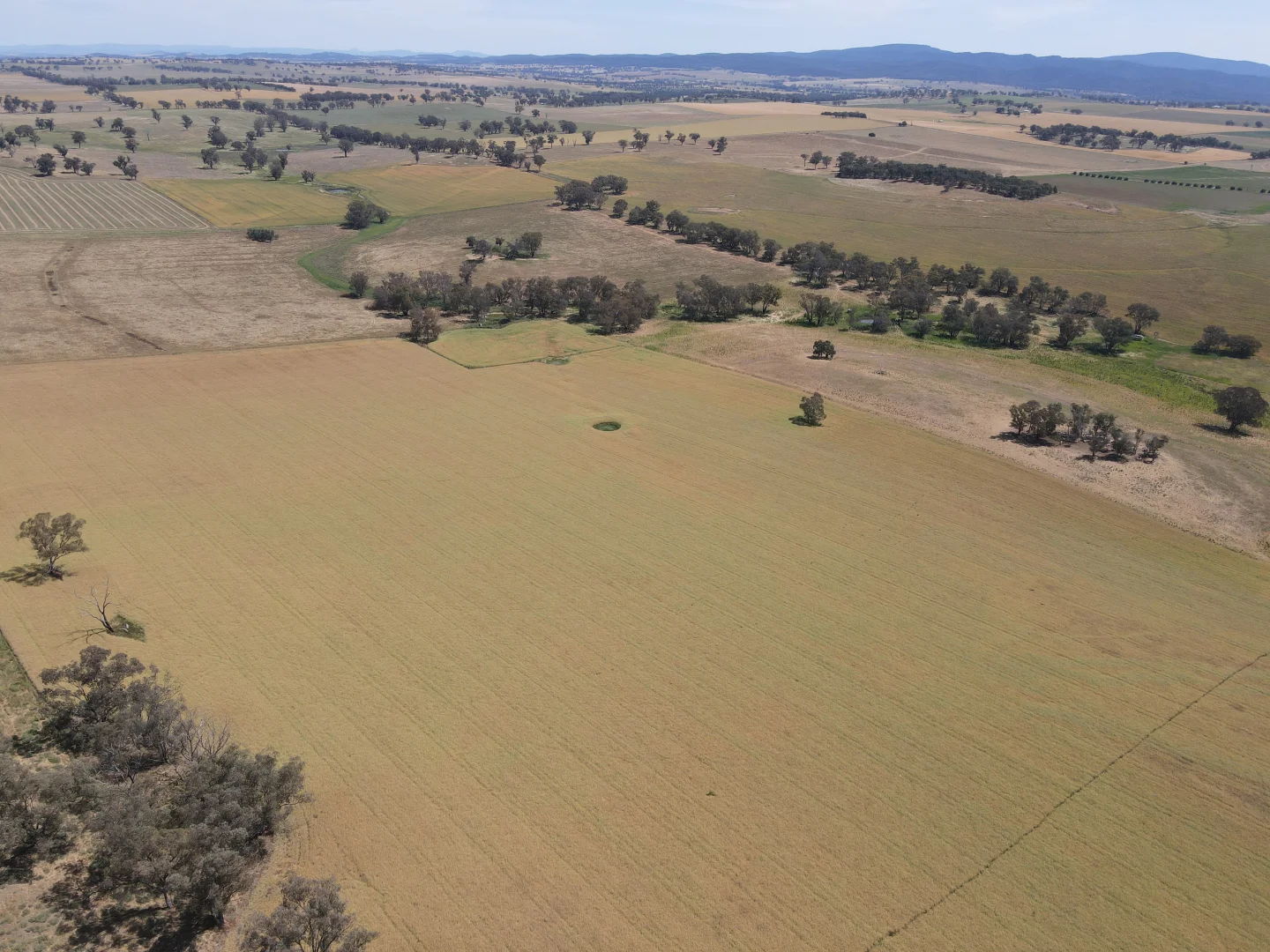 Additional image 11 of 1 Tremains Lane, Toogong NSW 2864