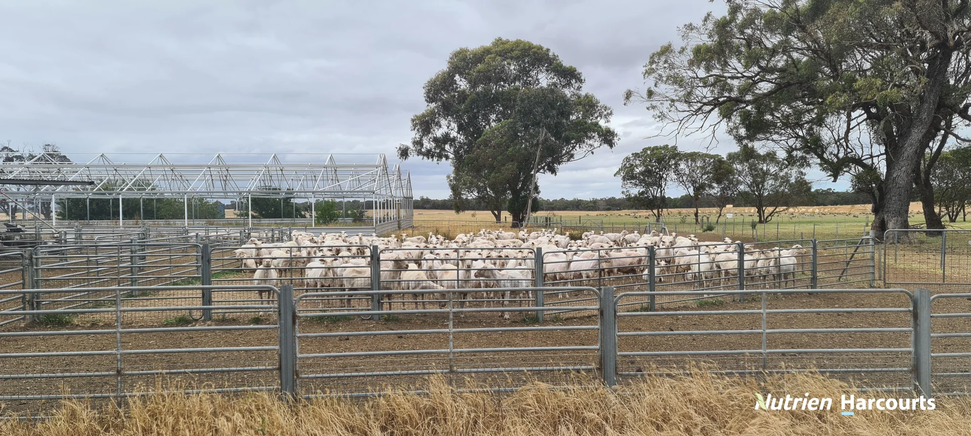 Additional image 34 of 4038 & 4184 Chesterpass Road, Takalarup WA 6324