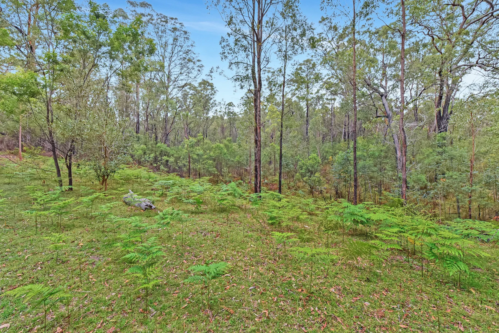 Additional image 23 of 250 Finchley Trk, Laguna NSW 2325