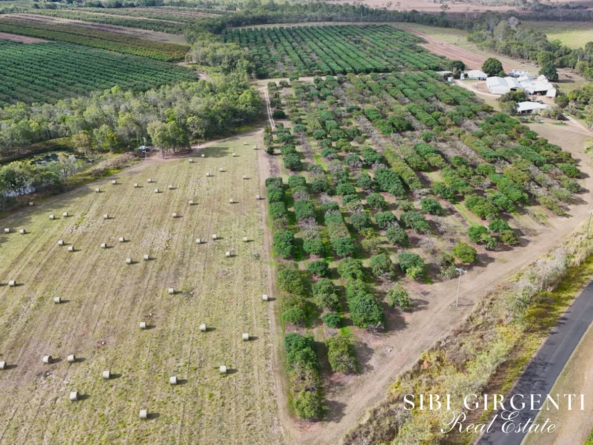 Additional image 26 of 44 Carman Road, Paddys Green QLD 4880