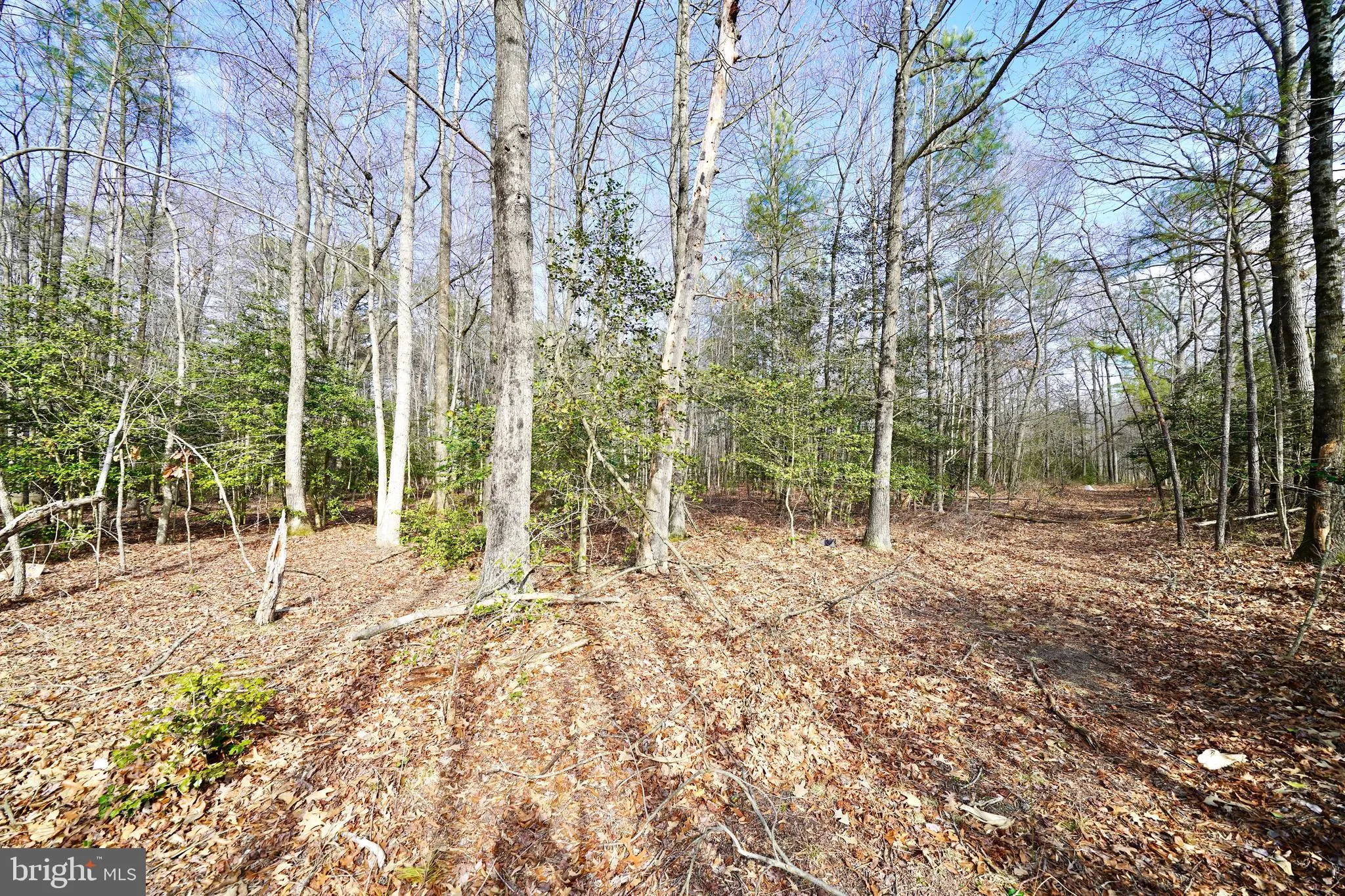 Additional image 18 of Lot 1 Megan Joy Road, Lincoln, DE 19960