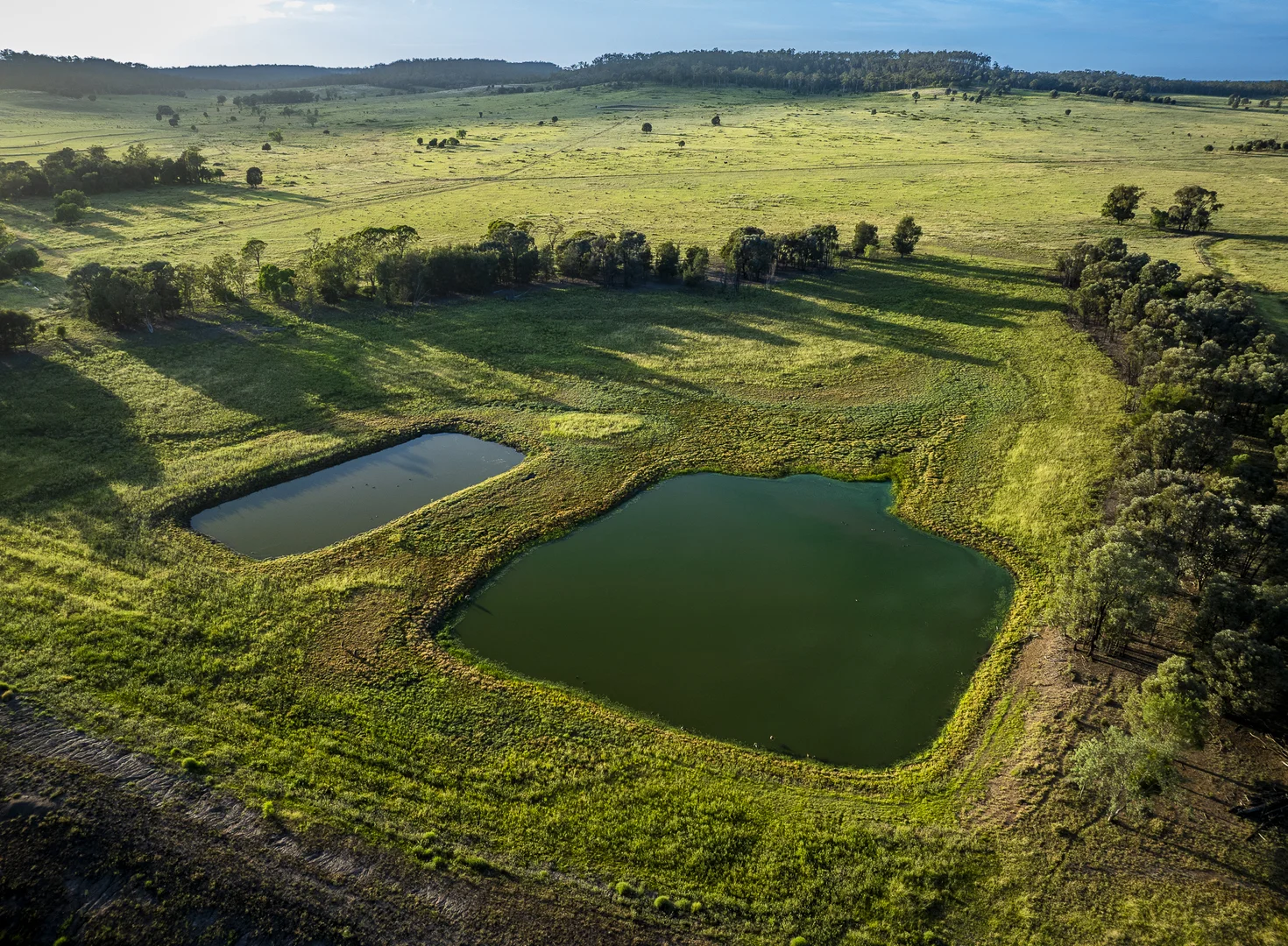 Additional image 20 of 833 Fosters Road, Guluguba QLD 4418
