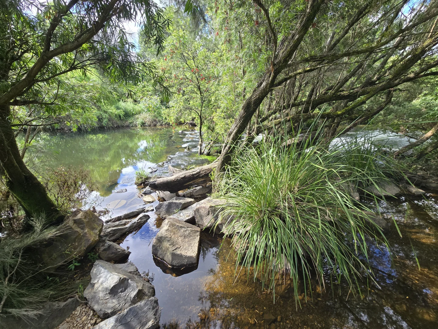Additional image 4 of 52 Greenhills Rd, Upper Taylors Arm NSW 2447