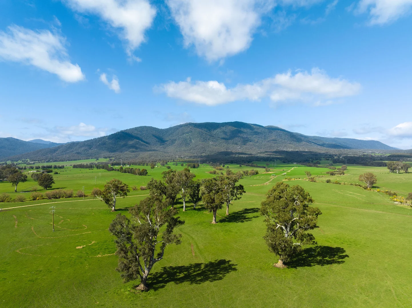 Additional image 22 of 1036 Taggerty - Thornton Road, Thornton VIC 3712