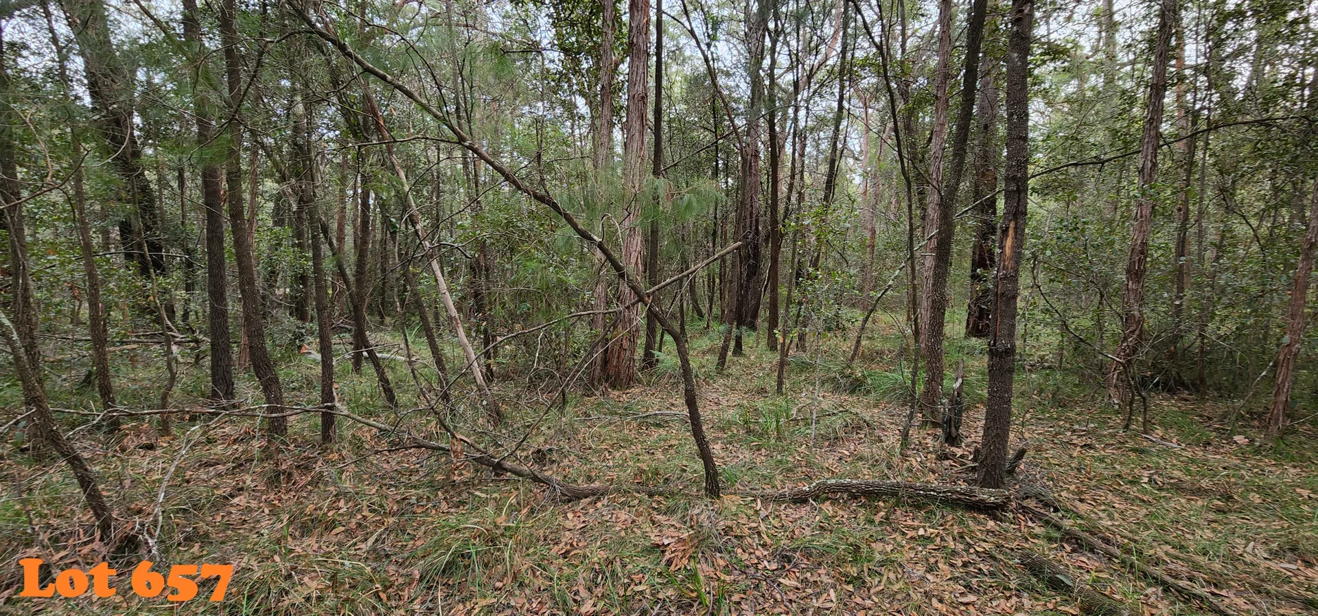 Additional image 12 of lot 655,658,660-661, Clarendon Cres, Basin View NSW 2540