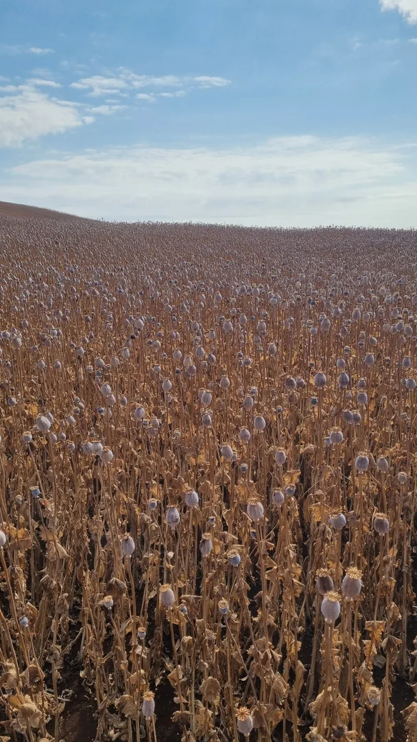 Additional image 14 of 299 Natone Road, Stowport TAS 7321