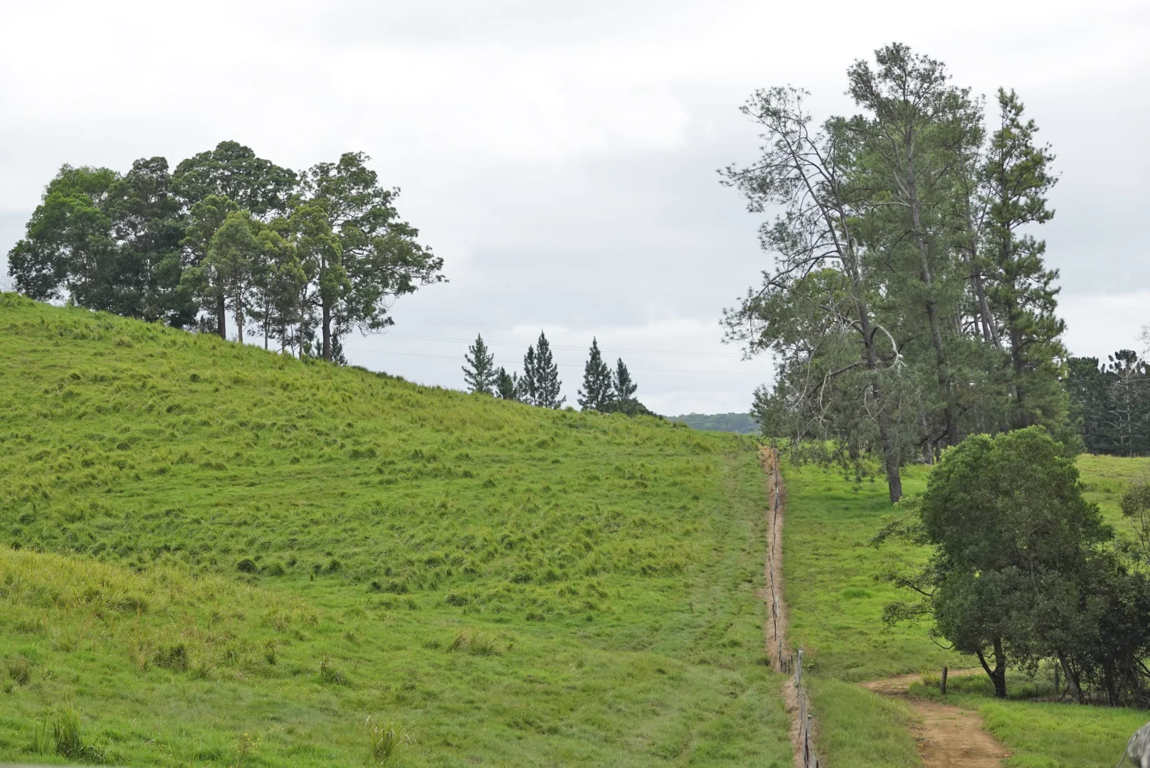 Additional image 40 of 1297 Mossman - Mt Molloy Rd, Julatten QLD 4871