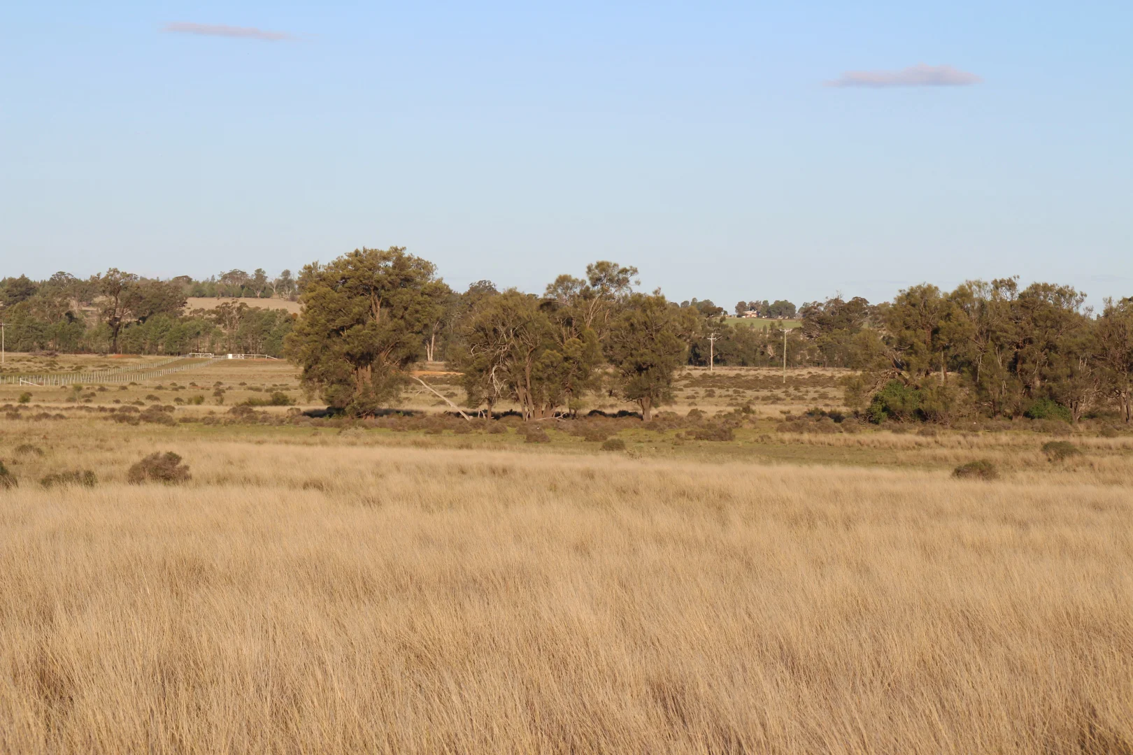 Additional image 25 of Lagoon Creek Road, Minore NSW 2830