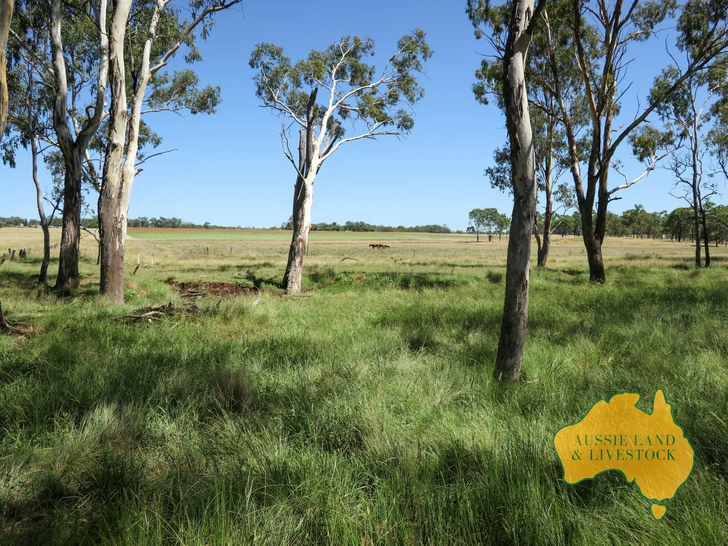 Additional image 26 of 629 Stuart Valley Drive, Haly Creek QLD 4610